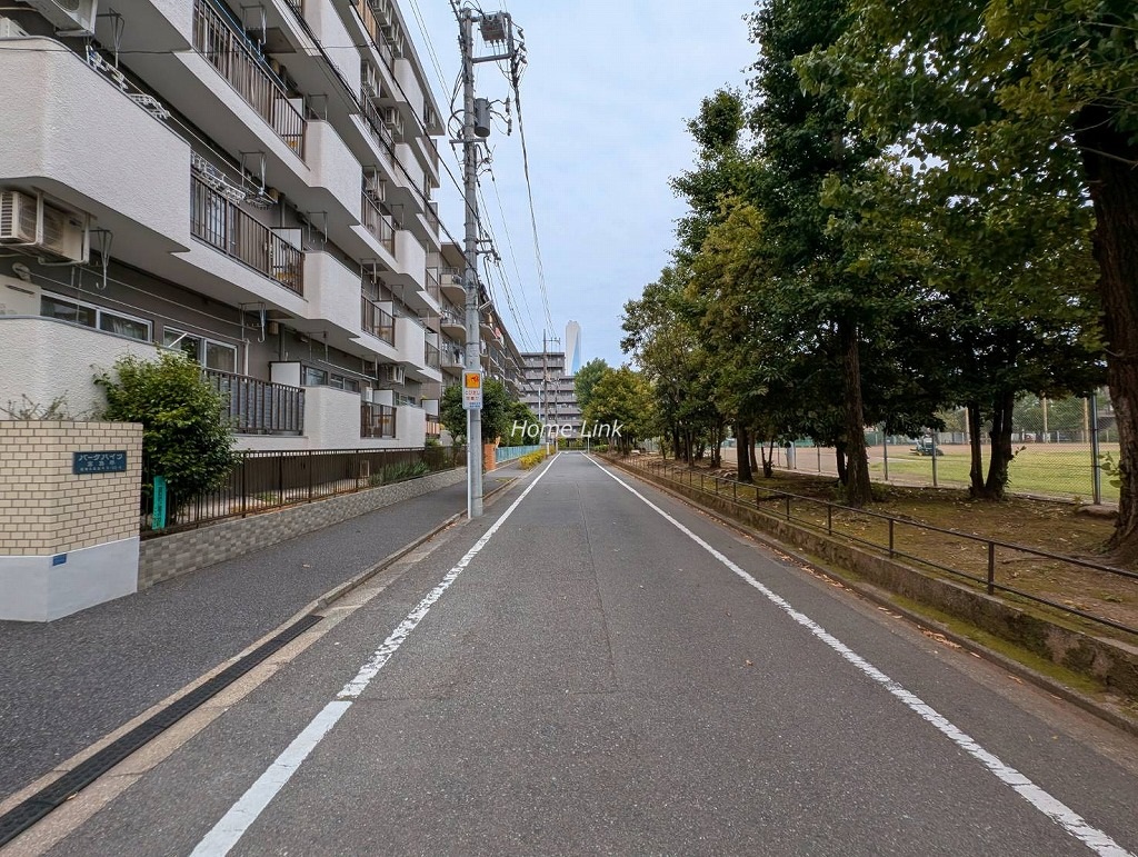 パークハイツ高島平　南側 前面道路